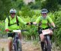 dsc_5904-copie