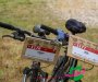 syl_0365-copie