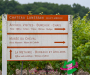 syl_0374-copie