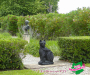 p1060124-copie