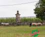 syl_0301-copie