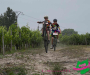 jml_1553-copie