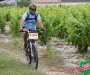 jml_1578-copie