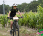jml_1579-copie