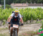 jml_1590-copie