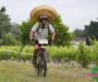 jml_1634-copie