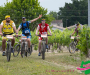 jml_1635-copie