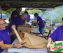 dsc0585-copie