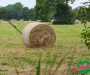 dsc0655-copie