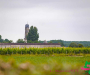 bf_01407-copie
