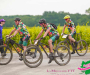 bf_01447-copie