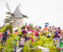 bf_01567-copie