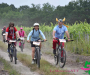 fab_0211-copie