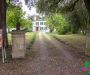 mla_4722-copie