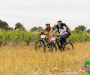 3ca7006-copie