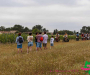 3ca7171-copie
