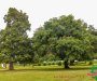 bbr_2653-copie
