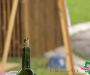 bbr_2767-copie