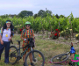 bbr_2801-copie