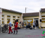 mcb6241-copie
