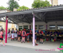 mcb6247-copie