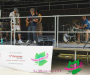 ths05149-copie