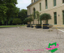 ths05027-copie