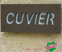 ths05042-copie