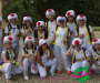 ths05085-copie