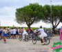 dsc0779-copie