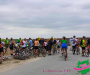 dsc0784-copie
