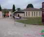 mla_4605-copie