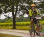 bf_01901-copie