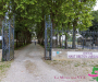 3ca7469-copie