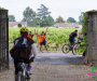 3ca7565-copie