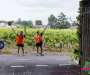 3ca7568-copie