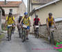 jml_1731-copie