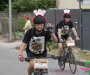 jml_1763-copie