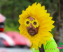 bbr_3203-copie