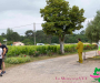 syl_0392_1-copie