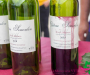 syl_0394_1-copie