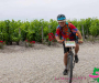pat_5575-copie