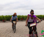 pat_5582-copie
