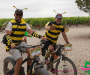 pat_5644-copie