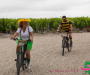 pat_5649-copie