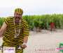 pat_5705-copie