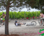 pat_5706-copie
