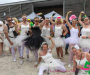 pat_5916-copie