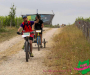 pat_5955-copie