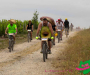 pat_5956-copie